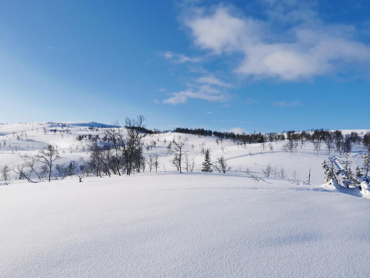Korgfjellet Fjellstue As *