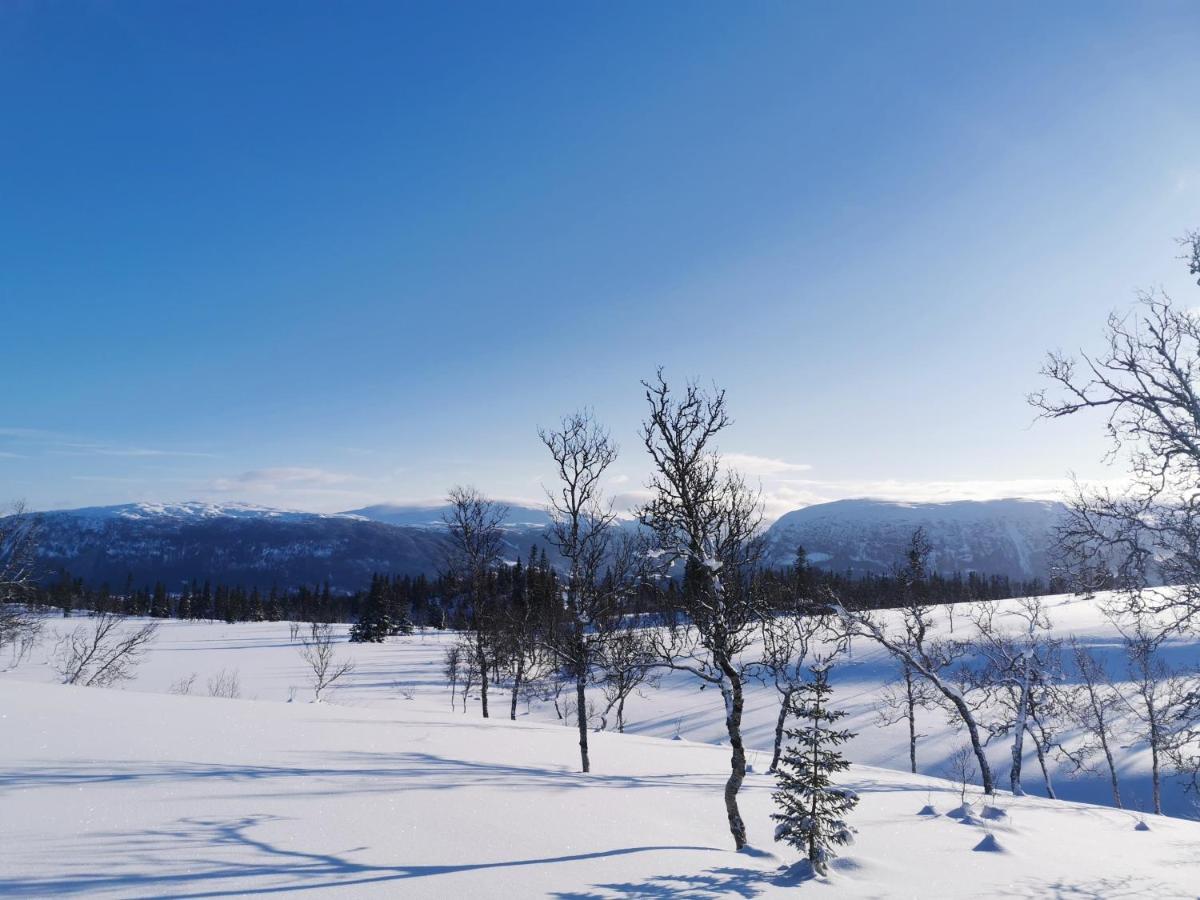 Korgfjellet Fjellstue As *