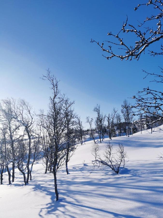 Jaktstuga Korgfjellet Fjellstue As Korgen