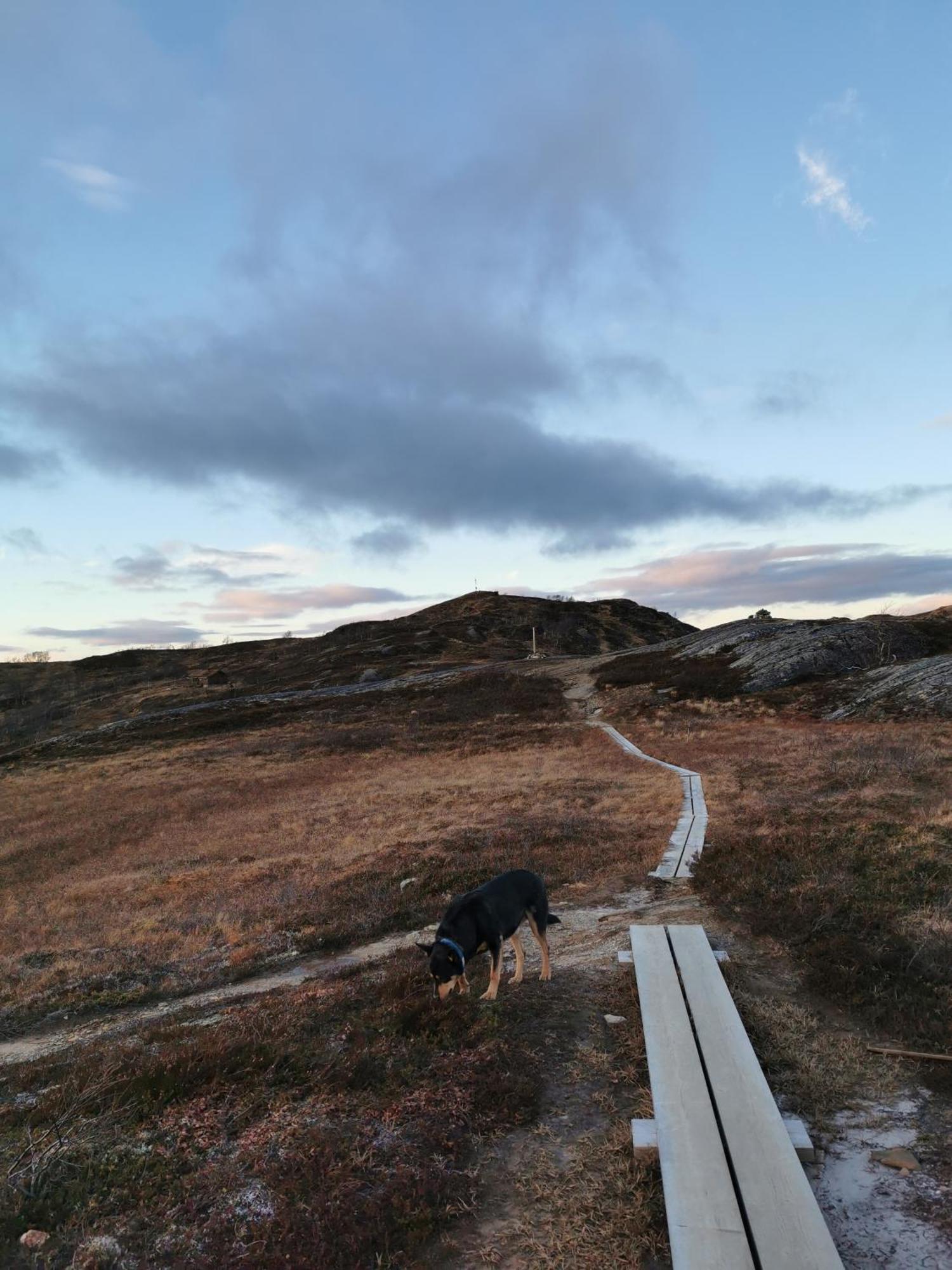 Korgfjellet Fjellstue As *