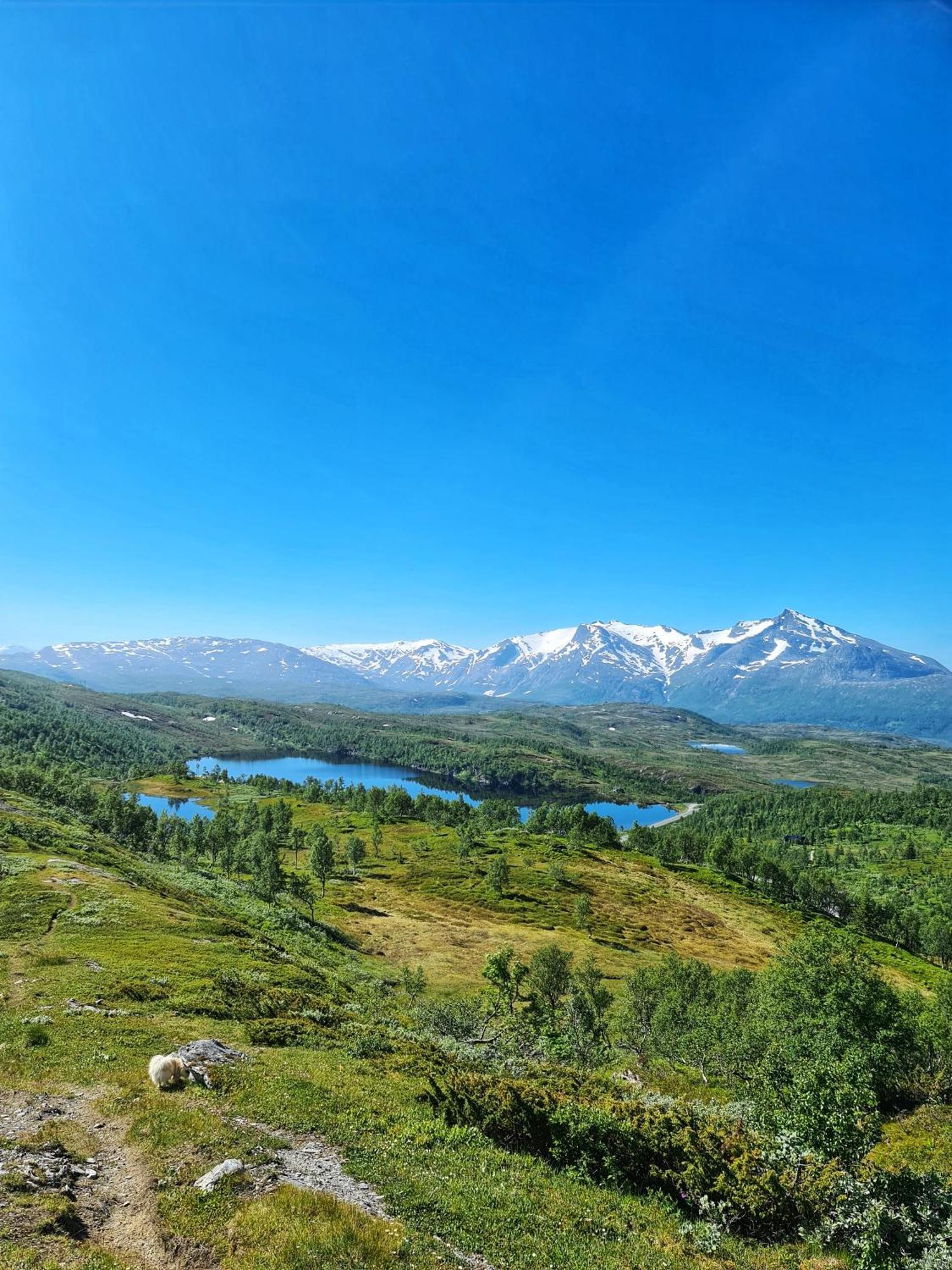 Korgfjellet Fjellstue As Jaktstuga *